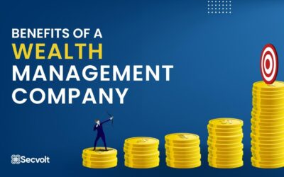 Benefits of Working with a Wealth Management Company – Secvolt