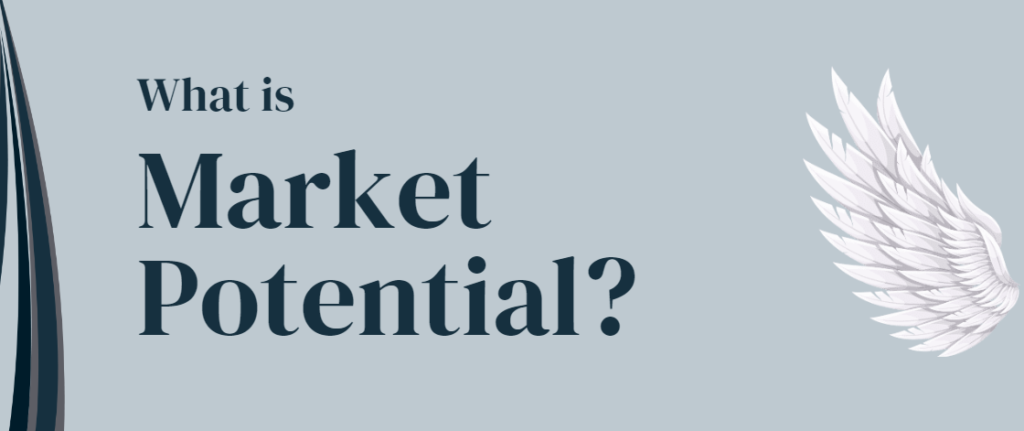 What is Market Potential?