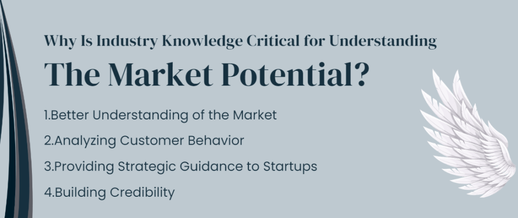Why Is Industry Knowledge Critical for Understanding The Market Potential?